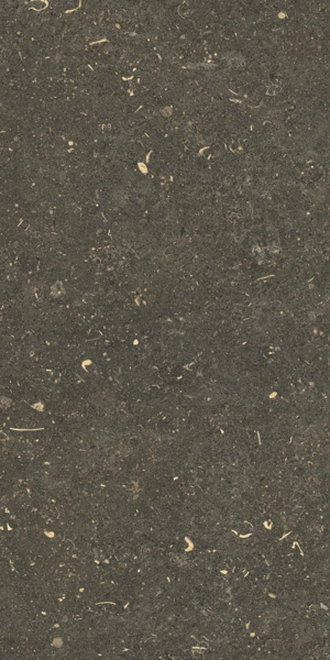 785491 Керамогранит Casa Dolce Casa Rinascenza Arena Platino Matte 30x60 (300x600)