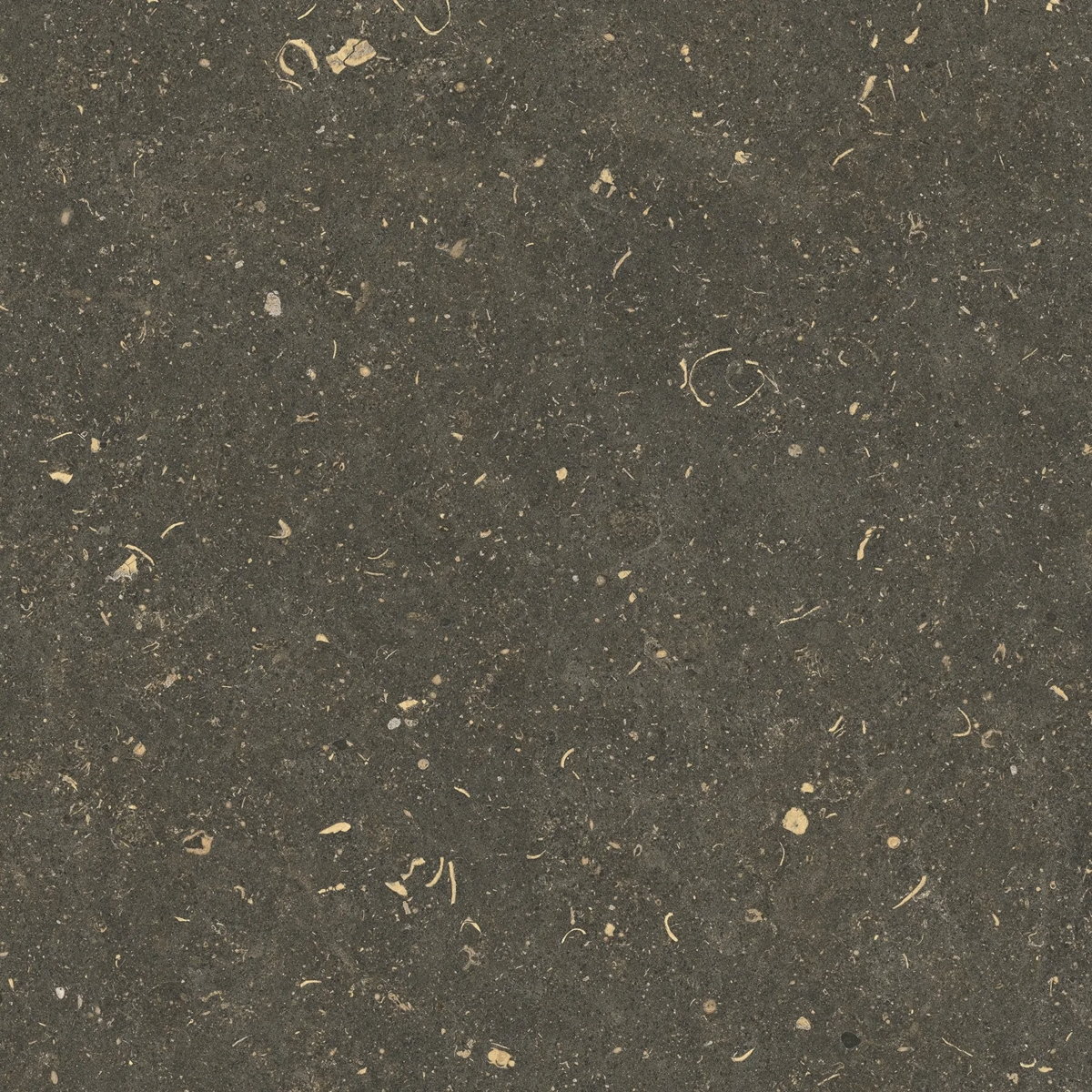 785507 Керамогранит Casa Dolce Casa Rinascenza Arena Platino Grip 20mm 120x120 (1200x1200)