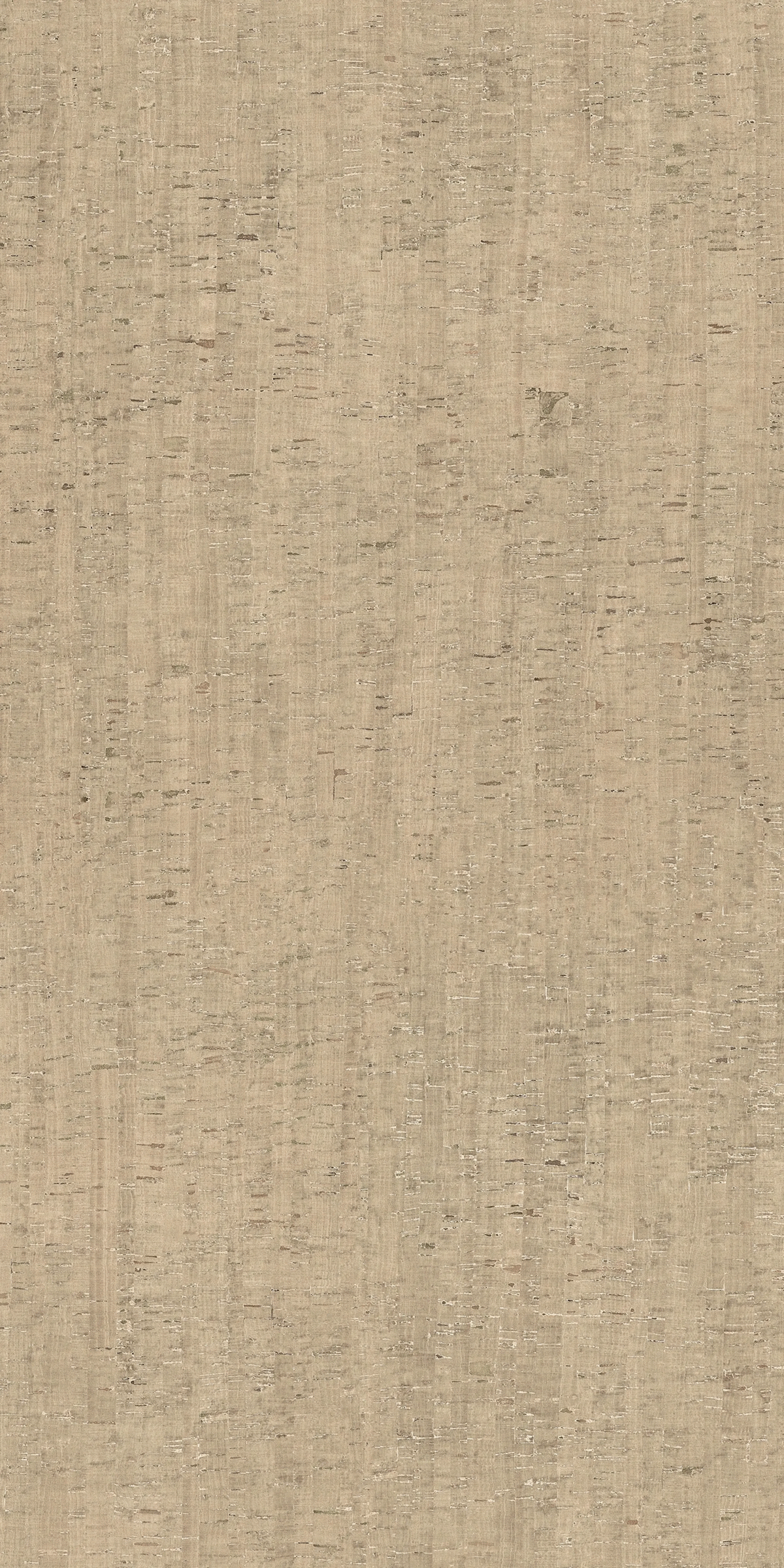 785600 Керамогранит Casa Dolce Casa Rinascenza Modulo Conchiglia Matte 6mm 120x240 (1200x2400)