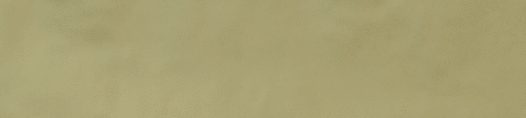 Casa Dolce Casa Sensi Colore Salvia Glossy 5.7x23.2