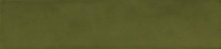 Casa Dolce Casa Sensi Colore Muschio Glossy 5.7x23.2