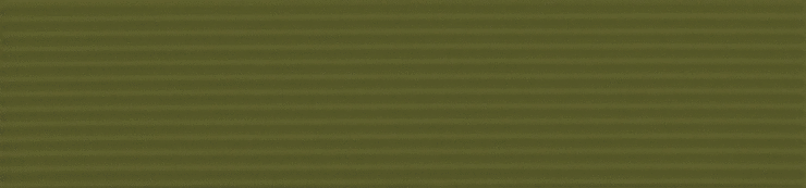 Casa Dolce Casa Sensi Colore Muschio Glossy Rigato 5.7x23.2