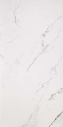 Statuario Grigio Lucido 59x118 (590x1180)