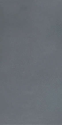 Казалгранде Падана R-Evolution Dark Grey 9mm 60х120