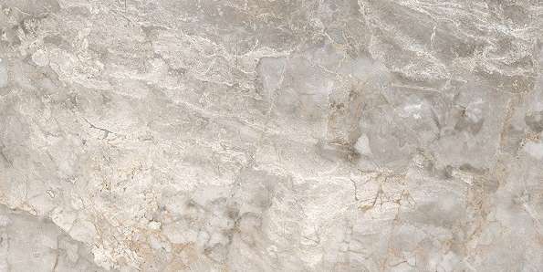 Breccia Silver PGVT (1200x600)