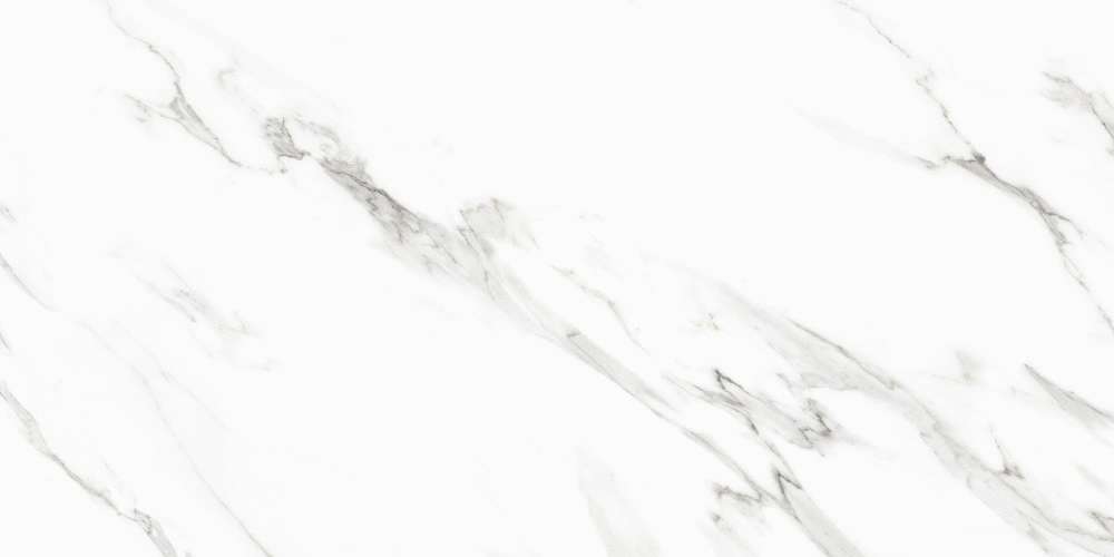 Neptune White PGVT 60x120 (1200x600)