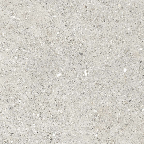 CR6060G0461R Керамогранит Ceradim Granito Grigio серый матовый 59,5х59,5 (595x595)