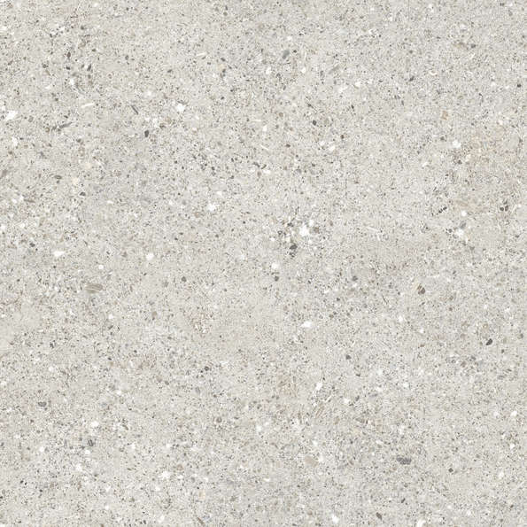 Grigio Серый Матовый 59.5х59.5 (595x595)
