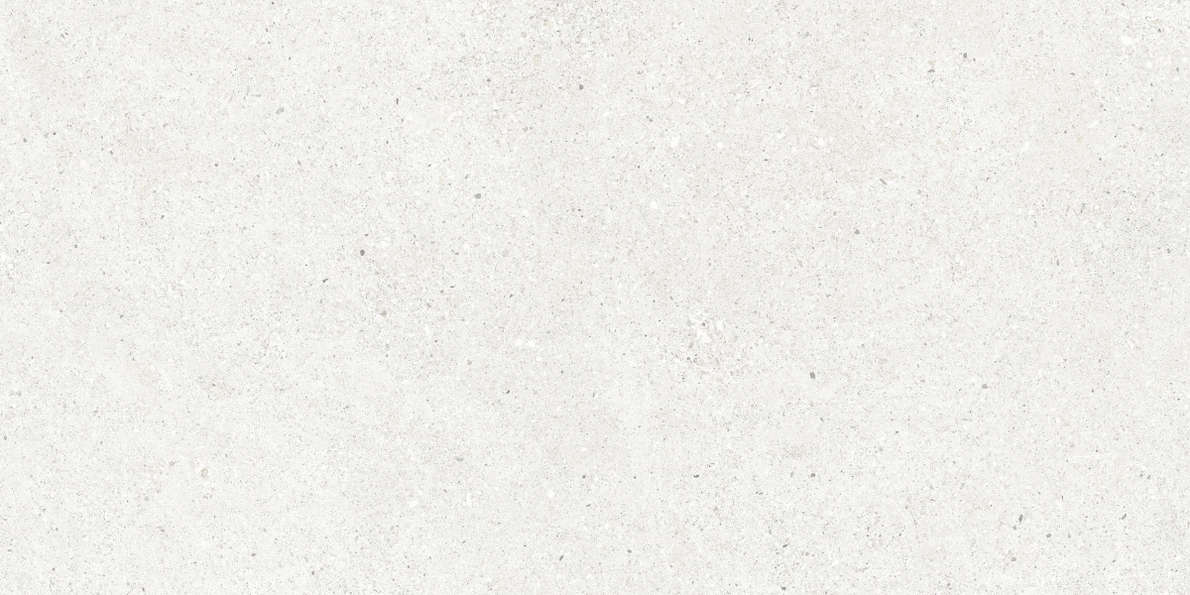 CR6012G0481R Керамогранит Ceradim Perla Bianco светло-серый матовый 59,5х119,1 (1191x595)