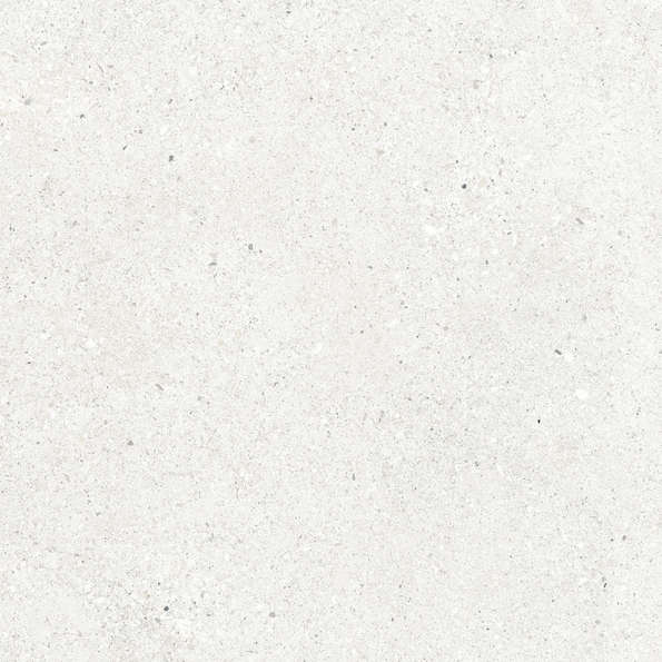 Bianco Светло-Серый Матовый 59.5х59.5 (595x595)