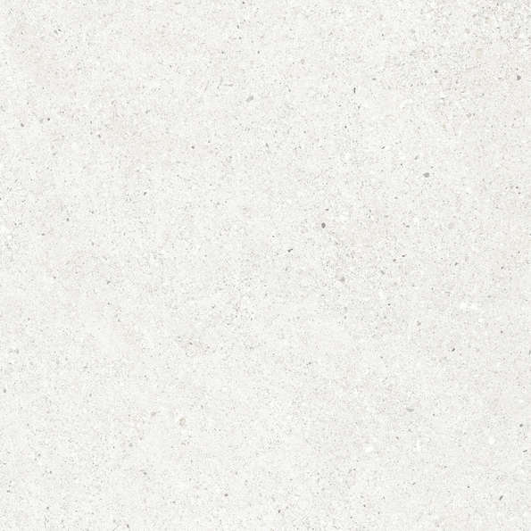 Bianco Светло-Серый Матовый 59.5х59.5 (595x595)