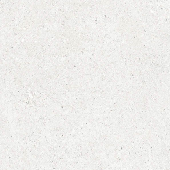 Bianco Светло-Серый Матовый 59.5х59.5 (595x595)