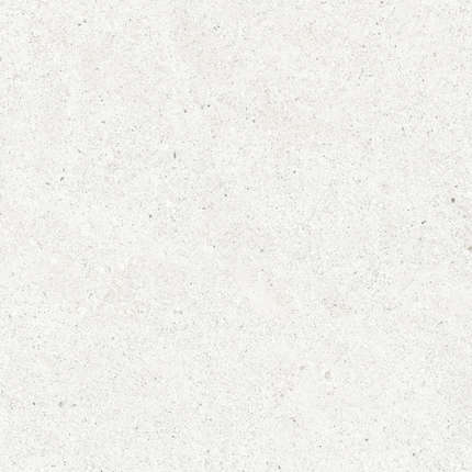 Керадим Perla Bianco Светло-Серый Матовый 59.5х59.5