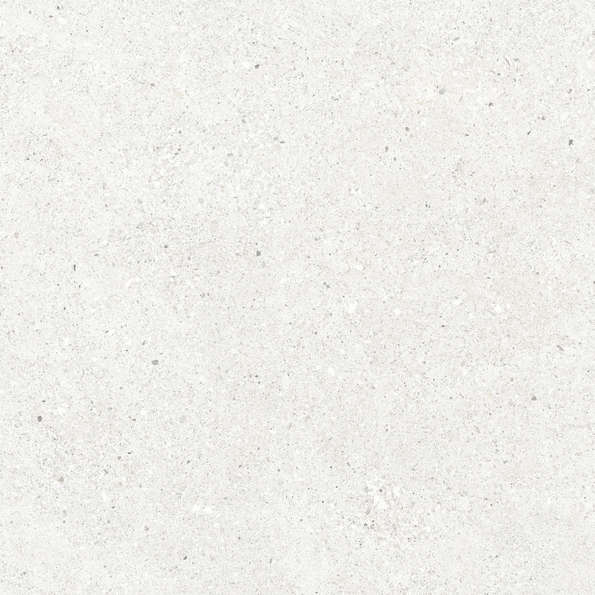 Bianco Светло-Серый Матовый 59.5х59.5 (595x595)