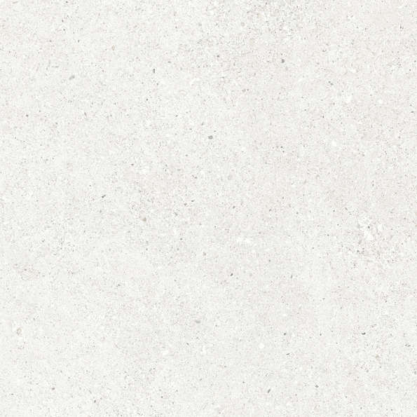 Bianco Светло-Серый Матовый 59.5х59.5 (595x595)