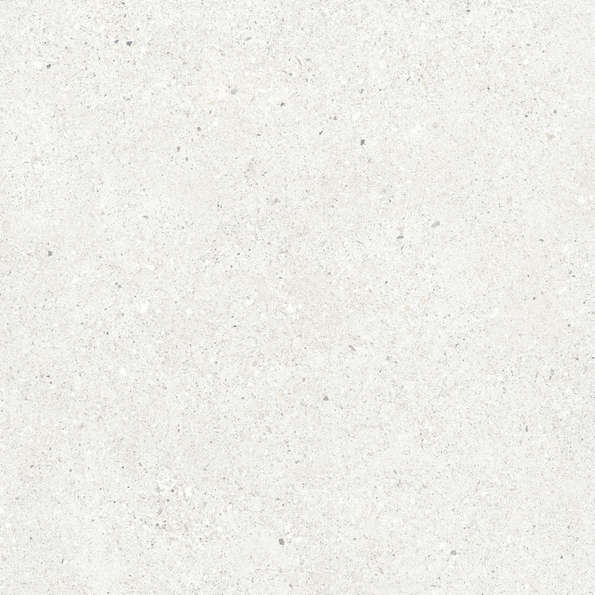 Bianco Светло-Серый Матовый 59.5х59.5 (595x595)