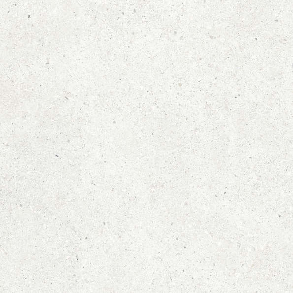 Bianco Светло-Серый Матовый 59.5х59.5 (595x595)
