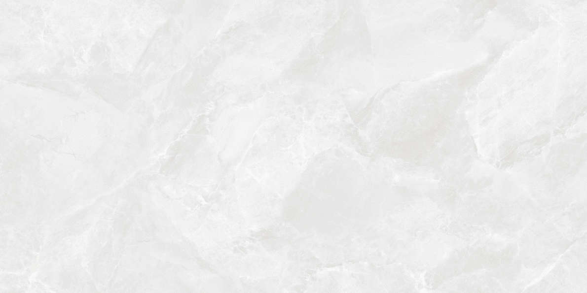 CR6012G0401R Керамогранит Ceradim Regnum Bianco светло-серый матовый 59,5х119,1 (1191x595)