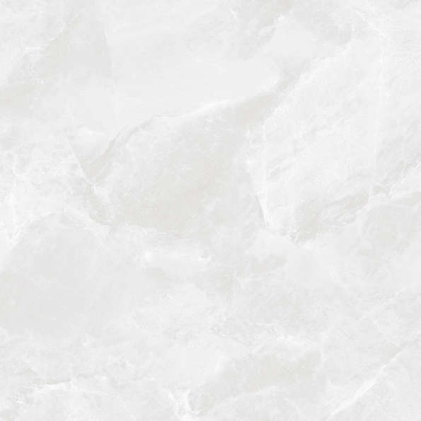 Bianco Светло-Серый Матовый 59.5х59.5 (595x595)