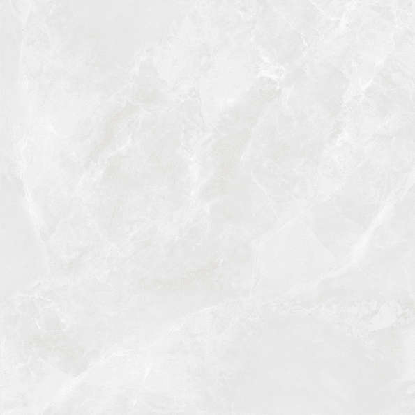 Bianco Светло-Серый Матовый 59.5х59.5 (595x595)