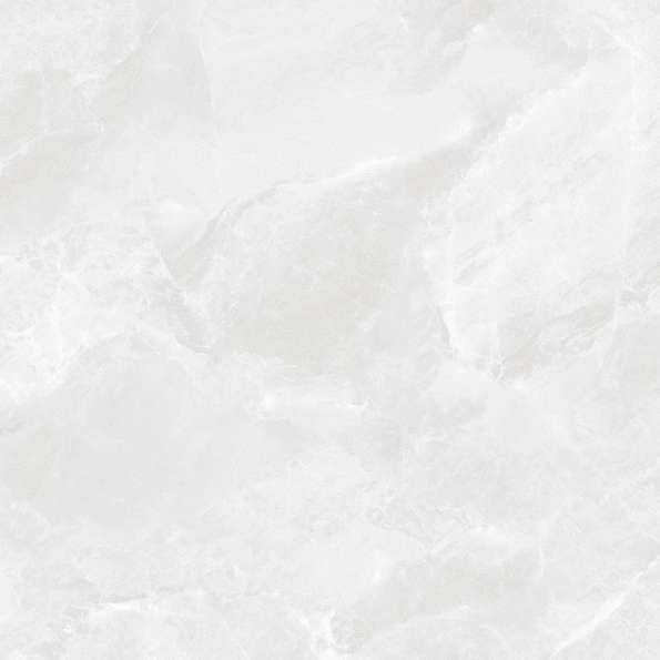 Bianco Светло-Серый Матовый 59.5х59.5 (595x595)
