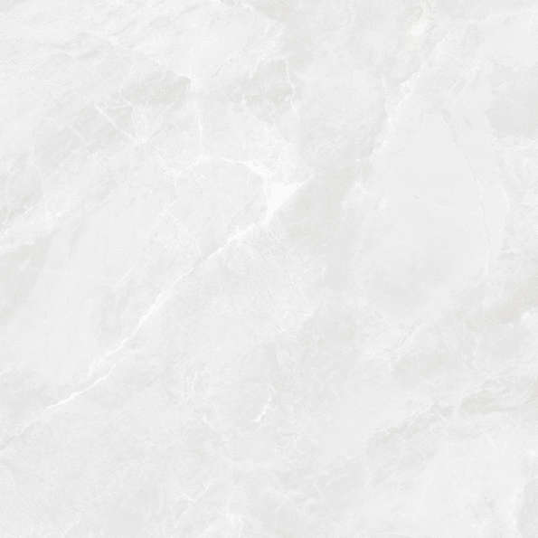 Bianco Светло-Серый Матовый 59.5х59.5 (595x595)