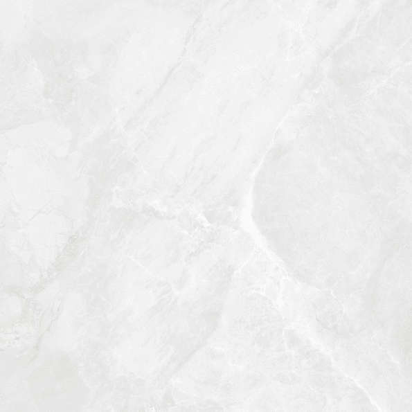 Bianco Светло-Серый Матовый 59.5х59.5 (595x595)