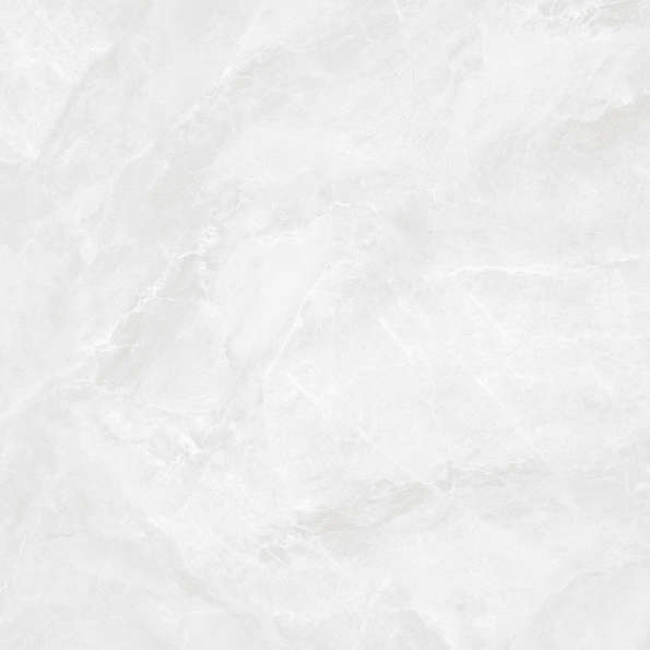 Bianco Светло-Серый Матовый 59.5х59.5 (595x595)