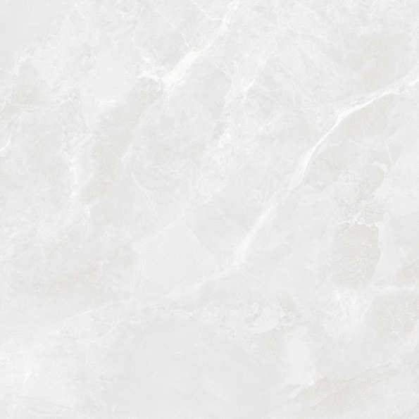 Bianco Светло-Серый Матовый 59.5х59.5 (595x595)