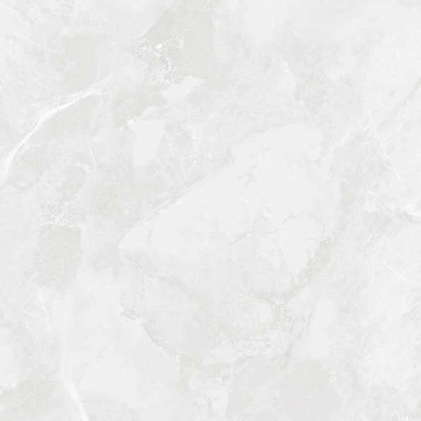 Bianco Светло-Серый Матовый 59.5х59.5 (595x595)