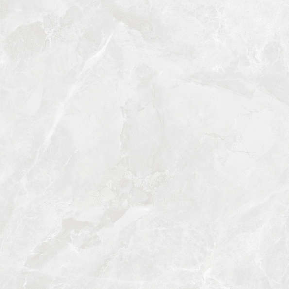 Bianco Светло-Серый Матовый 59.5х59.5 (595x595)