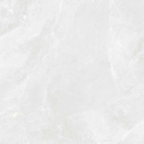 Bianco Светло-Серый Матовый 59.5х59.5 (595x595)