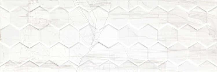 White Hexagon (750x250)