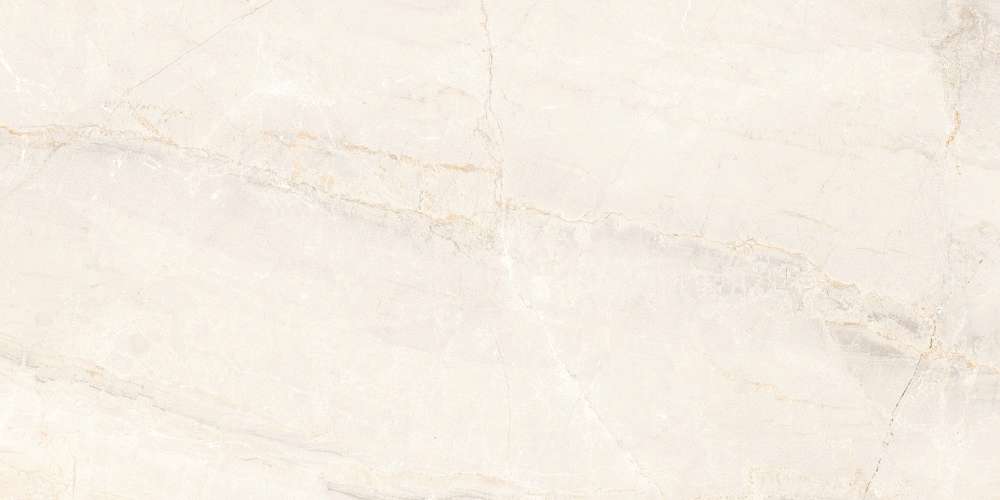 Ivory Rettificato 120 (1200x600)