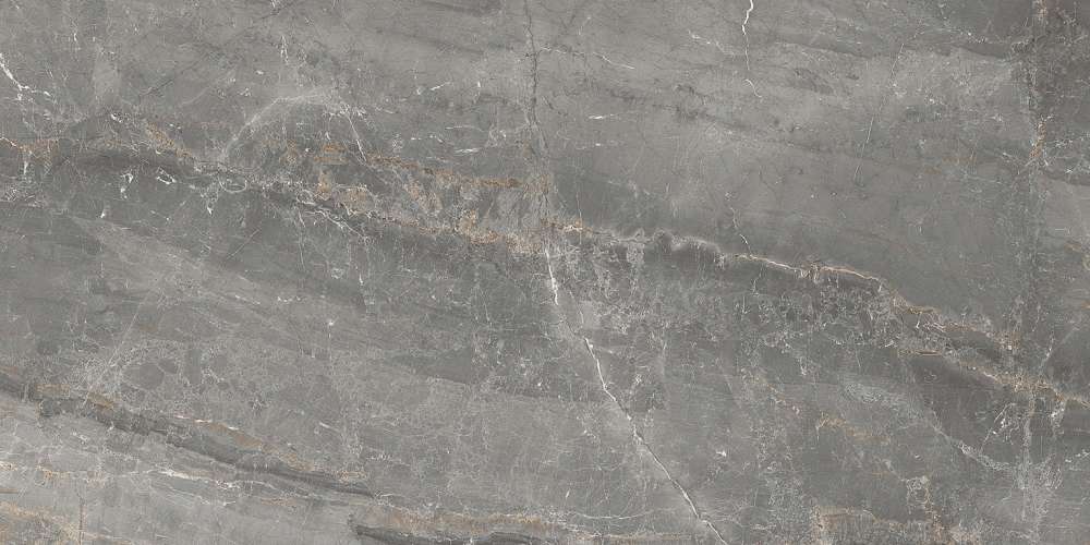 Silver Rettificato 120 (1200x600)