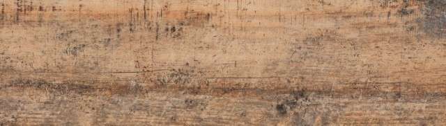 Церрад Celtis Honey