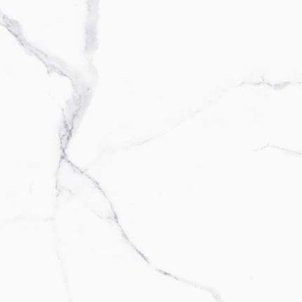 Чикогрес Alsacia White