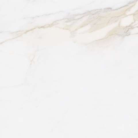 Brillo rect. porcelanico 75x75 (750x750)