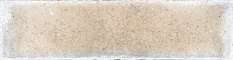 Beige Brillo  (246x60)