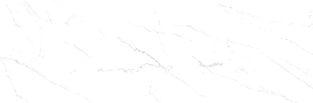 White (1000x330)