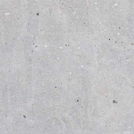 Кодисер Messel Silver