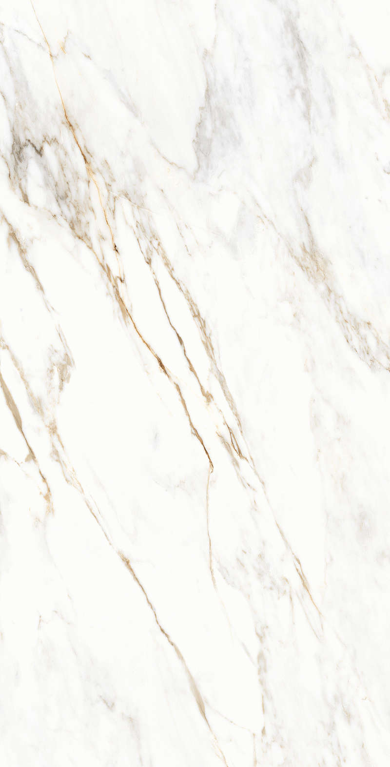 Matt Glossy Ink 80x160 (800x1600)