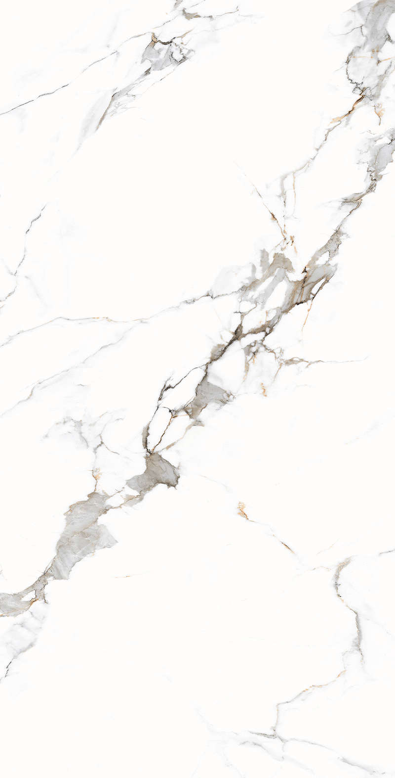 Carving 80x160 (800x1600)