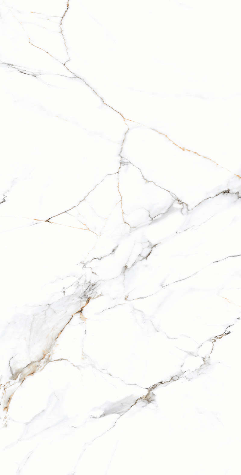 Carving 80x160 (800x1600)