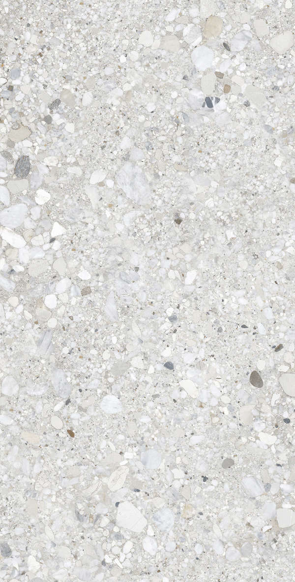 Terrazzo Solido 60x120 (600x1200)