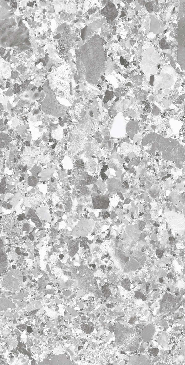 Silver Solido 60x120 (600x1200)