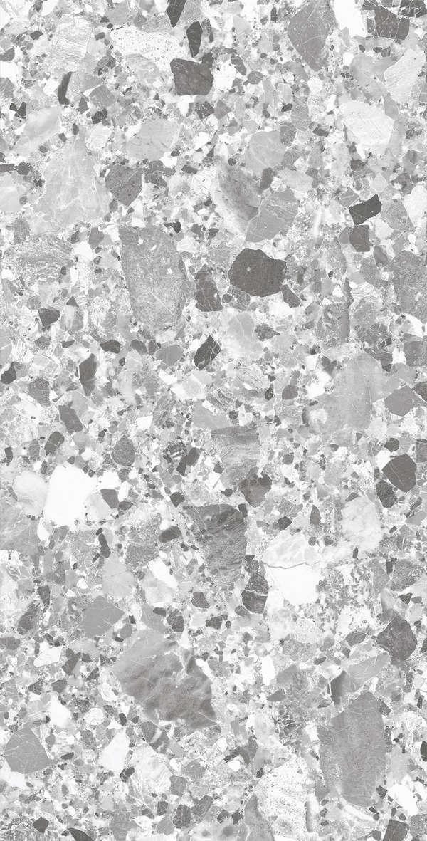 Silver Solido 60x120 (600x1200)