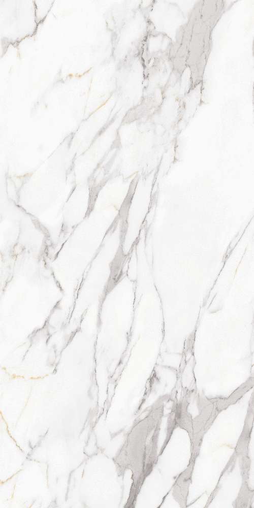 Carrara Elite 80x160 (800x1600)