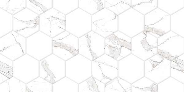 Hex (600x300)