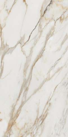 Calacatta Gold (800x1600)